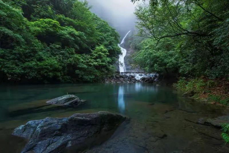 湘西悍匪年近古稀徒手抓野狗;为匪五十载,机关算尽终究恶贯满盈